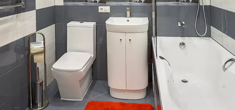 Hansgrohe Shaving Mirror Imperial Beach